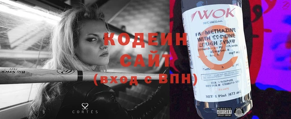 ECSTASY Бородино