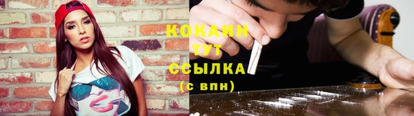 ECSTASY Бородино