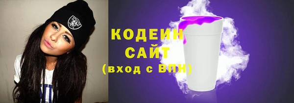 ECSTASY Бородино