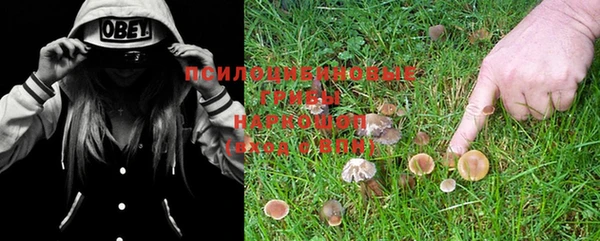 ECSTASY Бородино