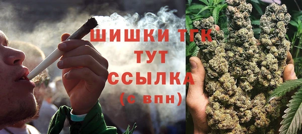 ECSTASY Бородино