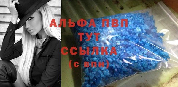 ECSTASY Бородино