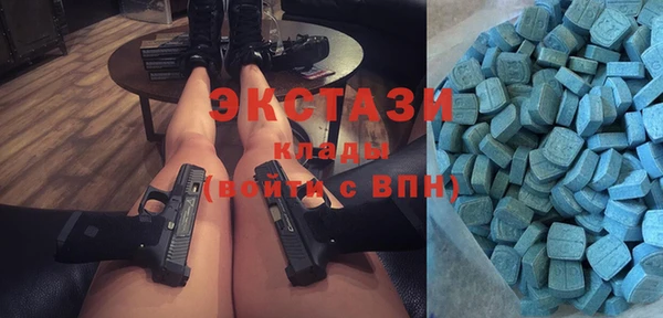 ECSTASY Бородино