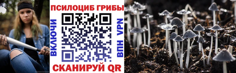 ОМГ ОМГ ТОР  Шимановск  Галлюциногенные грибы ЛСД 